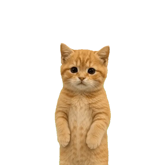 Yawn Model